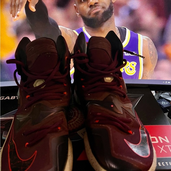 LeBron 13s - Picture 4 of 4